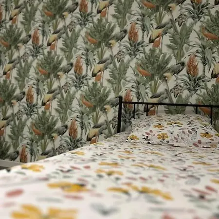 Maison Cosy Proche Carcassonne Holiday home Conques-sur-Orbiel